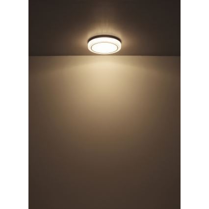 Globo - LED-kattovalaisin LED/24W/230V halkaisija 40 cm 4000K valkoinen