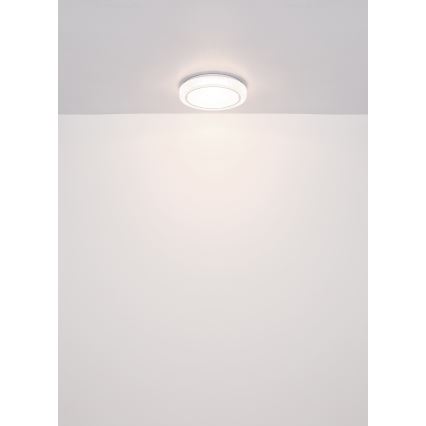 Globo - LED-kattovalaisin LED/24W/230V halkaisija 40 cm 4000K valkoinen