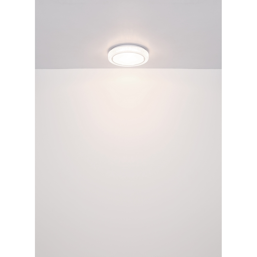 Globo - LED-kattovalaisin LED/24W/230V halkaisija 40 cm 4000K valkoinen