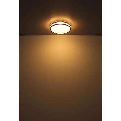 Globo - LED RGBW Himmennettävä kattovalo LED/18W/230V 2700-6000K + kauko-ohjaus