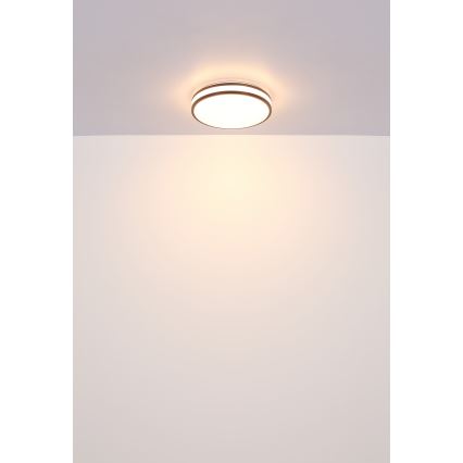 Globo - LED RGBW Himmennettävä kattovalo LED/18W/230V 2700-6000K + kauko-ohjaus
