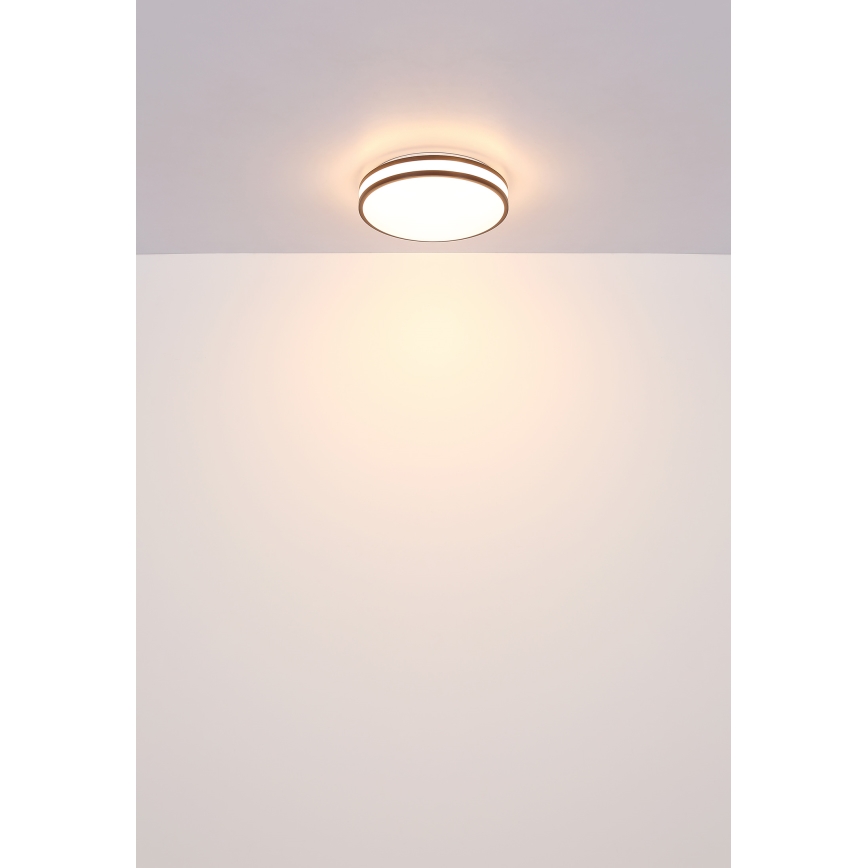 Globo - LED RGBW Himmennettävä kattovalo LED/18W/230V 2700-6000K + kauko-ohjaus