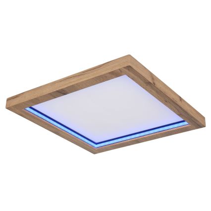 Globo - LED RGBW himmennettävä kattovalaisin LED/24W/230V 2700-6000K + kaukosäädin