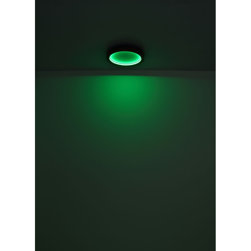 Globo - LED RGBW Himmennettävä kattovalo LED/24W/230V 2700-6000K + kauko-ohjaus
