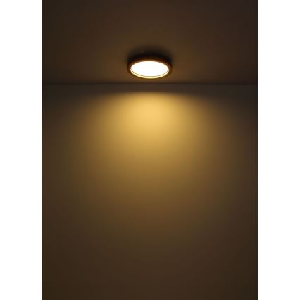 Globo - LED RGBW Himmennettävä kattovalo LED/24W/230V 2700-6000K + kauko-ohjaus