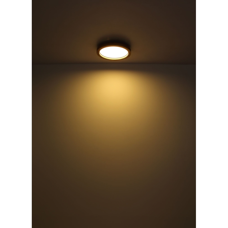 Globo - LED RGBW Himmennettävä kattovalo LED/24W/230V 2700-6000K + kauko-ohjaus