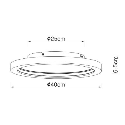 Globo - LED RGBW Himmennettävä kattovalo LED/24W/230V 2700-6000K + kauko-ohjaus