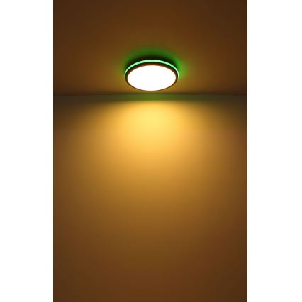 Globo - LED RGBW Himmennettävä kattovalo LED/40W/230V 2700-6500K + kauko-ohjaus