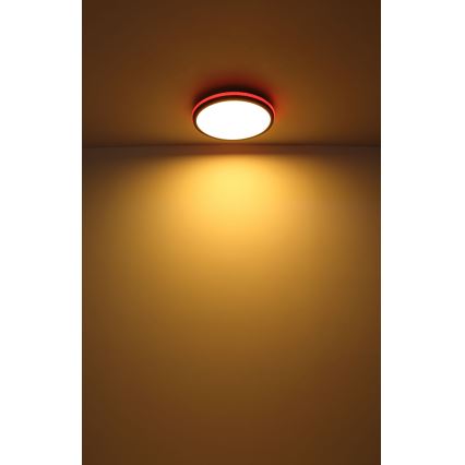 Globo - LED RGBW Himmennettävä kattovalo LED/40W/230V 2700-6500K + kauko-ohjaus