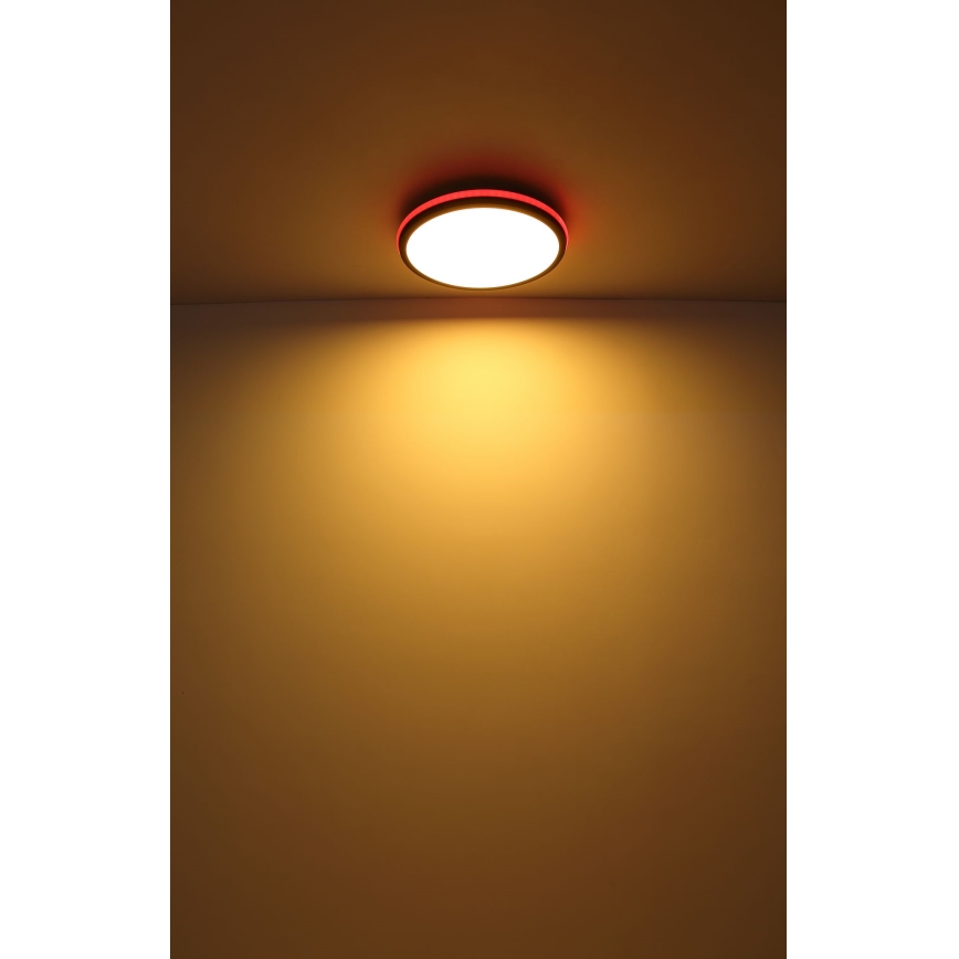 Globo - LED RGBW Himmennettävä kattovalo LED/40W/230V 2700-6500K + kauko-ohjaus