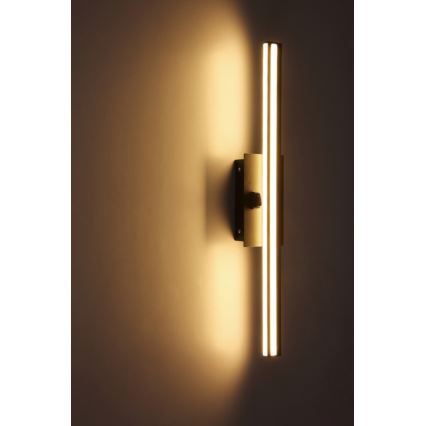 Globo 41499B - LED-seinävalaisin kylpyhuoneeseen VIGGO LED/18W/230V IP44