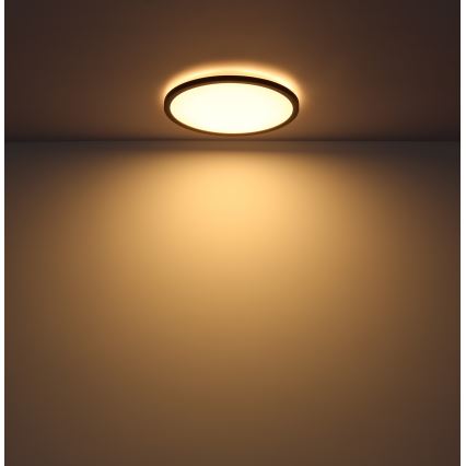 Globo - Himmennettävä kylpyhuoneen LED-kattovalaisin LED/18W/230V halkaisija 29,4 cm IP44 musta