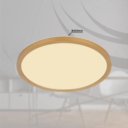 Globo - Himmennettävä kylpyhuoneen LED-kattovalaisin LED/24W/230V 3000K IP44 halkaisija 42 cm messinki