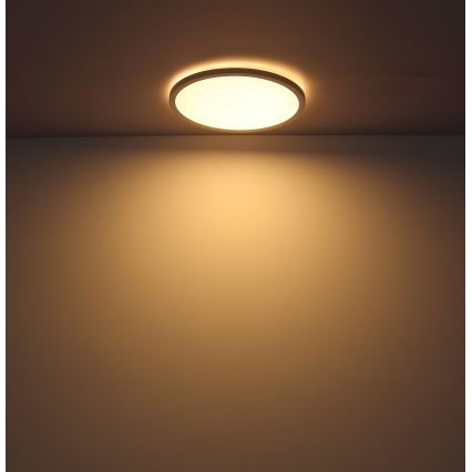Globo - Himmennettävä kylpyhuoneen LED-kattovalaisin LED/24W/230V halkaisija 42 cm IP44 valkoinen