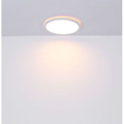 Globo - Himmennettävä kylpyhuoneen LED-kattovalaisin LED/24W/230V halkaisija 42 cm IP44 valkoinen