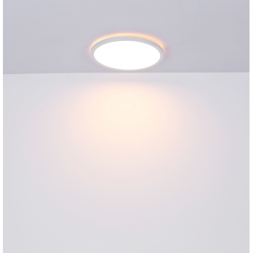 Globo - Himmennettävä kylpyhuoneen LED-kattovalaisin LED/24W/230V halkaisija 42 cm IP44 valkoinen