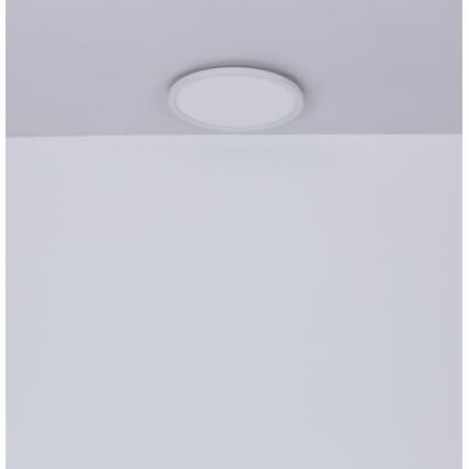 Globo - Himmennettävä kylpyhuoneen LED-kattovalaisin LED/24W/230V halkaisija 42 cm IP44 valkoinen