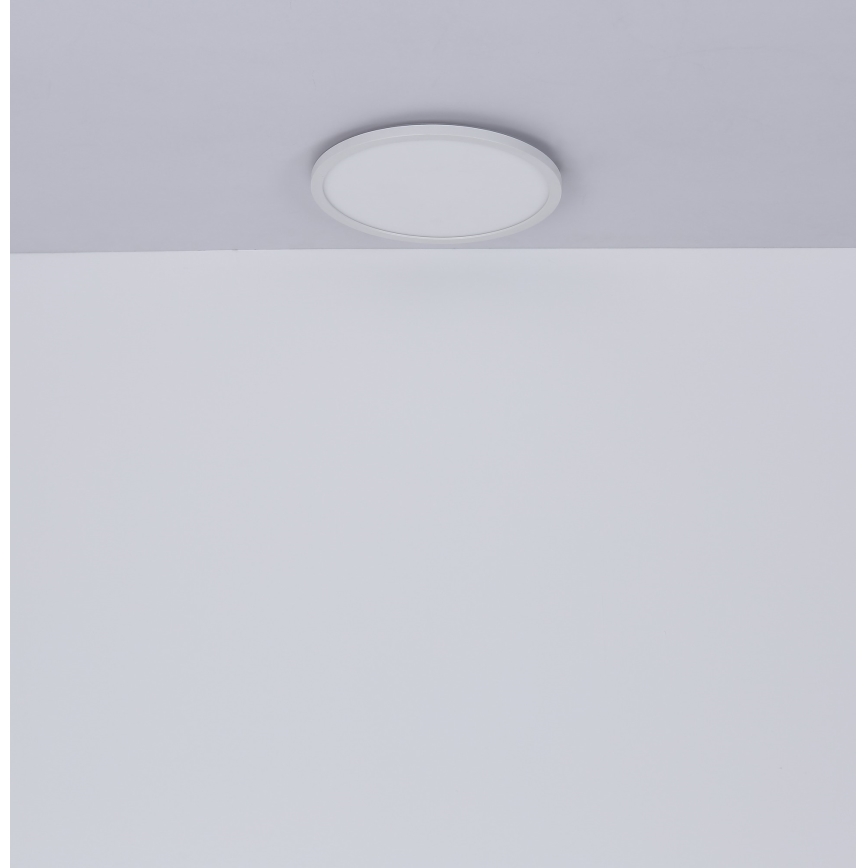 Globo - Himmennettävä kylpyhuoneen LED-kattovalaisin LED/24W/230V halkaisija 42 cm IP44 valkoinen