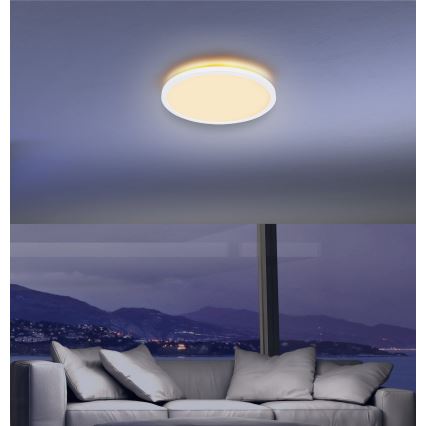 Globo - Himmennettävä kylpyhuoneen LED-kattovalaisin LED/24W/230V halkaisija 42 cm IP44 valkoinen