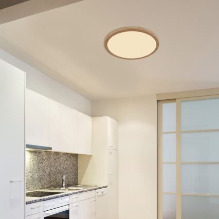 Globo - Himmennettävä kylpyhuoneen LED-kattovalaisin LED/24W/230V halkaisija 42 cm IP44 ruskea