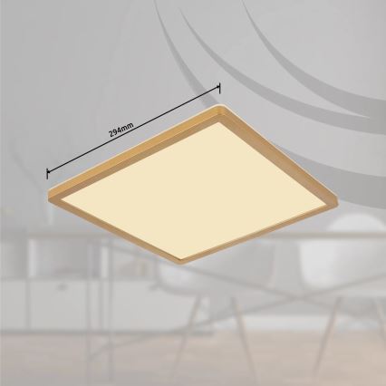 Globo - Himmennettävä kylpyhuoneen LED-kattovalaisin LED/18W/230V 3000K IP44 29,4x29,4 cm messinki