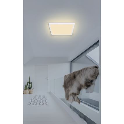 Globo - Himmennettävä kylpyhuoneen LED-kattovalaisin LED/18W/230V 29,4x29,4 cm IP44 valkoinen