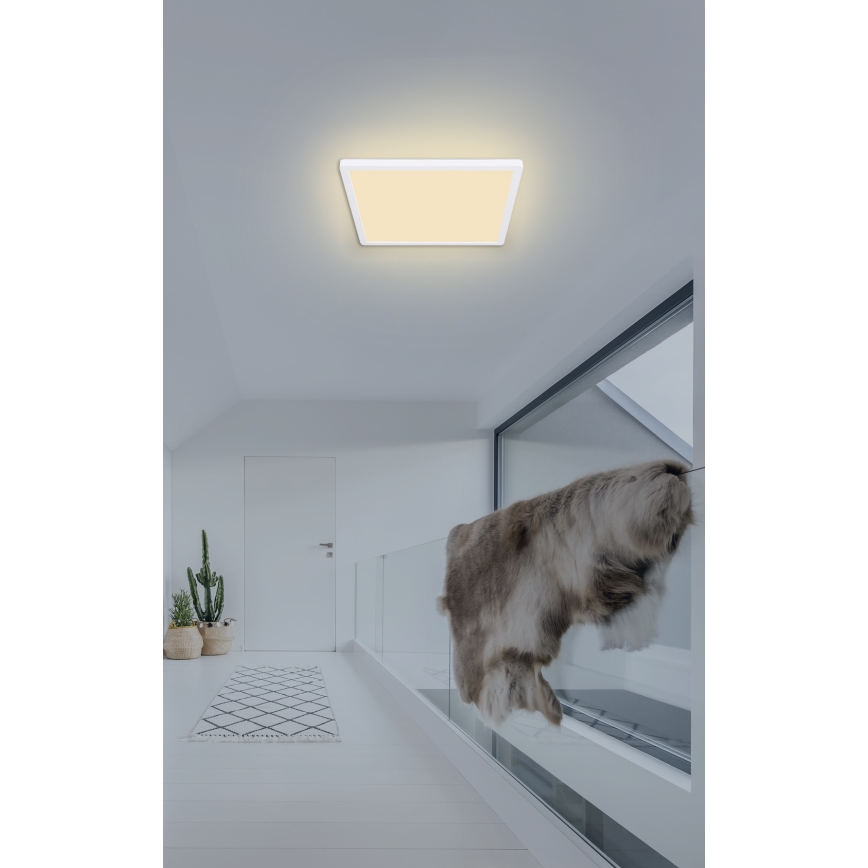 Globo - Himmennettävä kylpyhuoneen LED-kattovalaisin LED/18W/230V 29,4x29,4 cm IP44 valkoinen