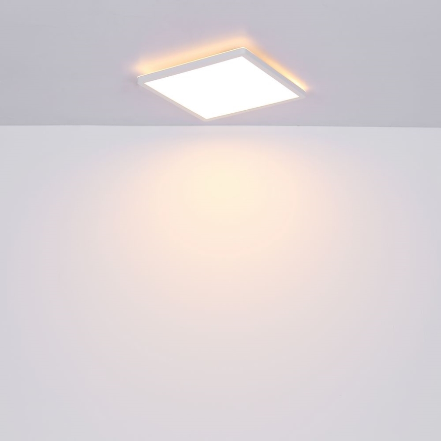 Globo - Himmennettävä kylpyhuoneen LED-kattovalaisin LED/24W/230V 42x42 cm IP44 valkoinen