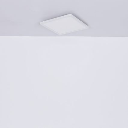 Globo - Himmennettävä kylpyhuoneen LED-kattovalaisin LED/24W/230V 42x42 cm IP44 valkoinen