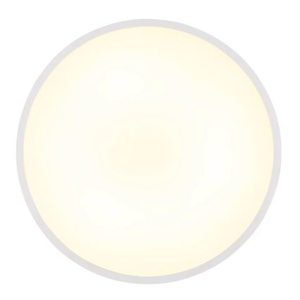 Globo - LED-kattovalaisin 20 W / 230 V / 4000 K, Ø 30 cm, valkoinen