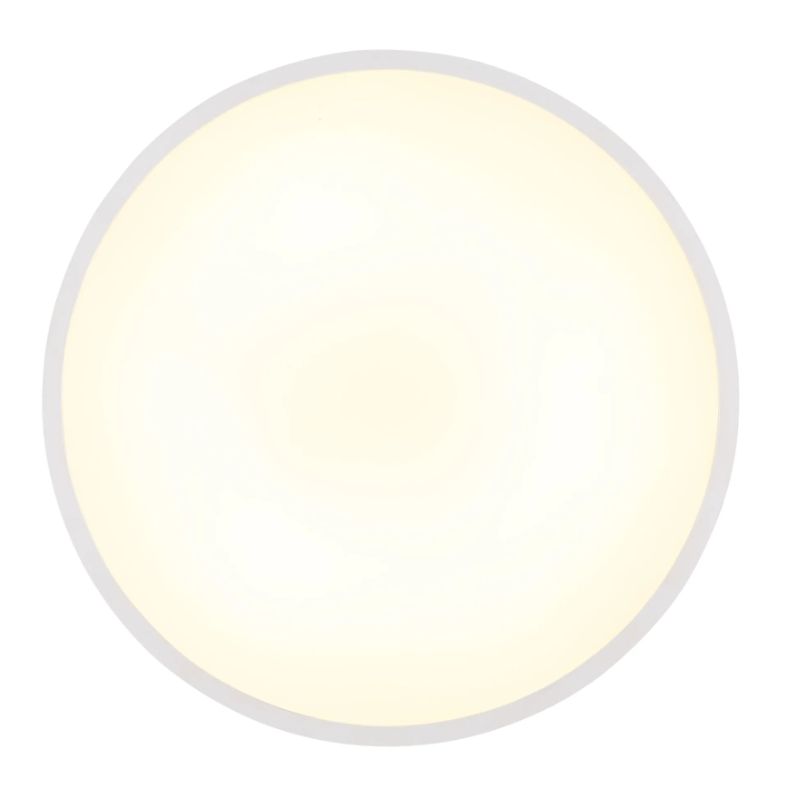 Globo - LED-kattovalaisin 20 W / 230 V / 4000 K, Ø 30 cm, valkoinen