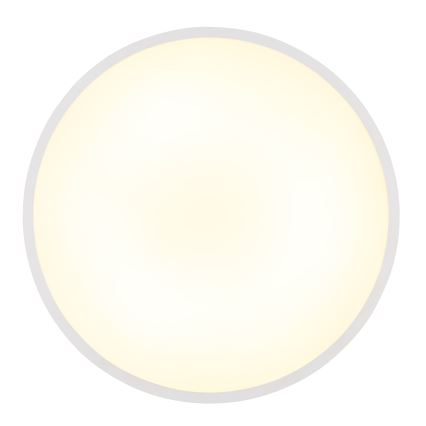 Globo - LED-kattovalaisin LED/32W/230V 4000K halkaisija 40 cm valkoinen