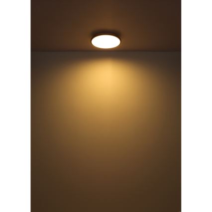 Globo - LED-kattovalaisin LED/18W/230V 3000K halkaisija 35 cm musta
