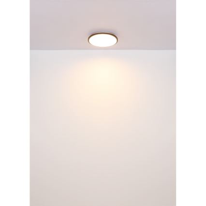 Globo - LED-kattovalaisin LED/18W/230V 3000K halkaisija 35 cm musta