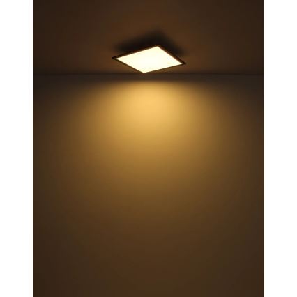 Globo - LED-kattovalaisin LED/24W/230V