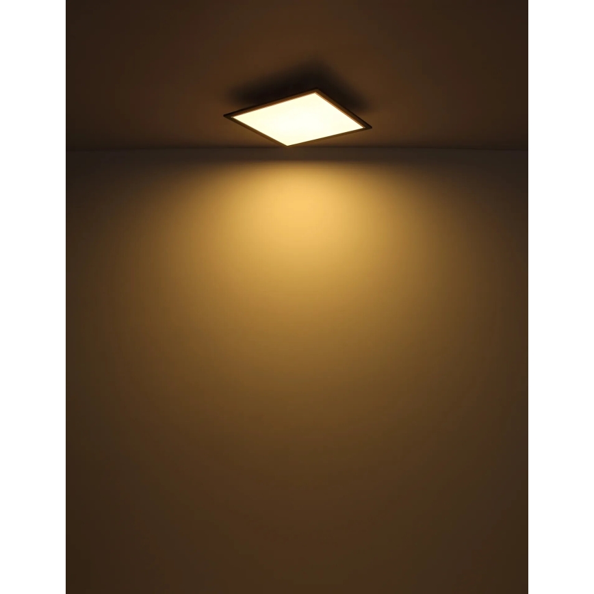 Globo - LED-kattovalaisin LED/24W/230V