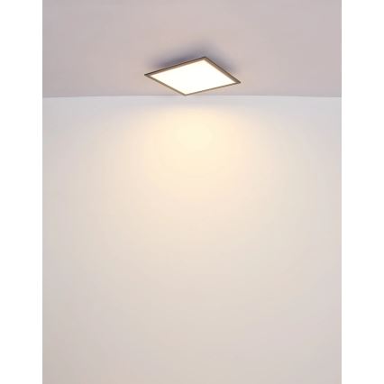 Globo - LED-kattovalaisin LED/24W/230V
