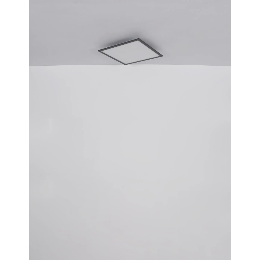 Globo - LED-kattovalaisin LED/24W/230V