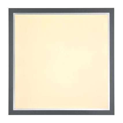 Globo - LED-kattovalaisin LED/24W/230V