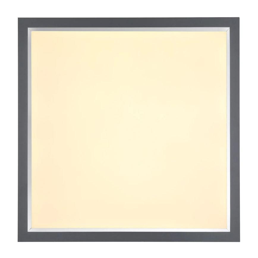 Globo - LED-kattovalaisin LED/24W/230V