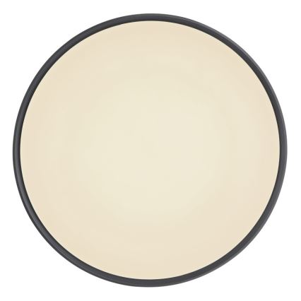 Globo - Himmennettävä LED-kattovalaisin LED/18W/230V + kauko-ohjaus