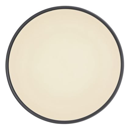Globo - Himmennettävä LED-kattovalaisin LED/24W/230V + kauko-ohjaus