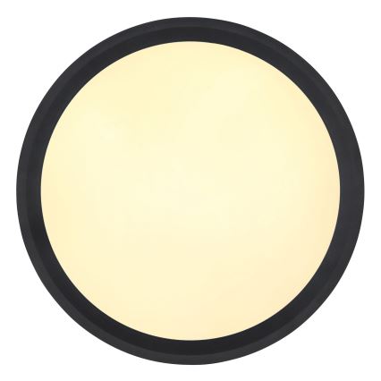 Globo - LED-kattovalaisin LED/30W/230V halkaisija 30 cm