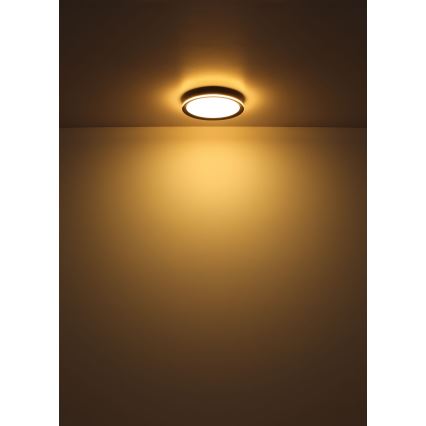 Globo - LED-kattovalaisin LED/39W/230V halkaisija 40 cm