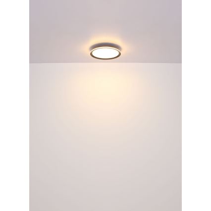 Globo - LED-kattovalaisin LED/39W/230V halkaisija 40 cm