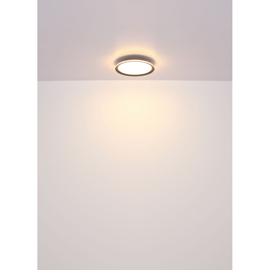 Globo - LED-kattovalaisin LED/39W/230V halkaisija 40 cm