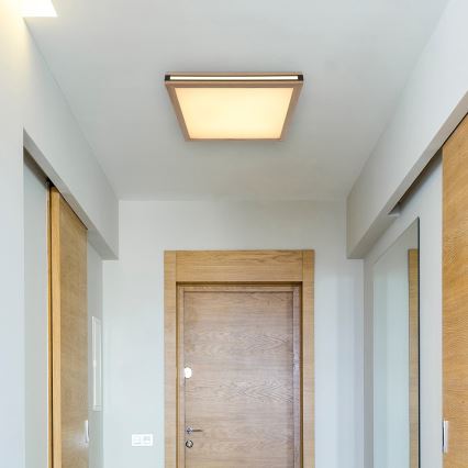 Globo - LED-kattovalaisin LED/24W/230V 45x45 cm