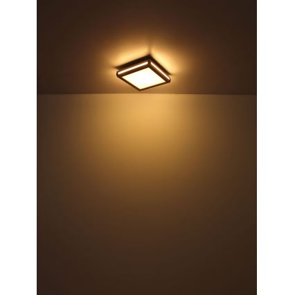 Globo - LED-kattovalaisin LED/24W/230V 45x45 cm