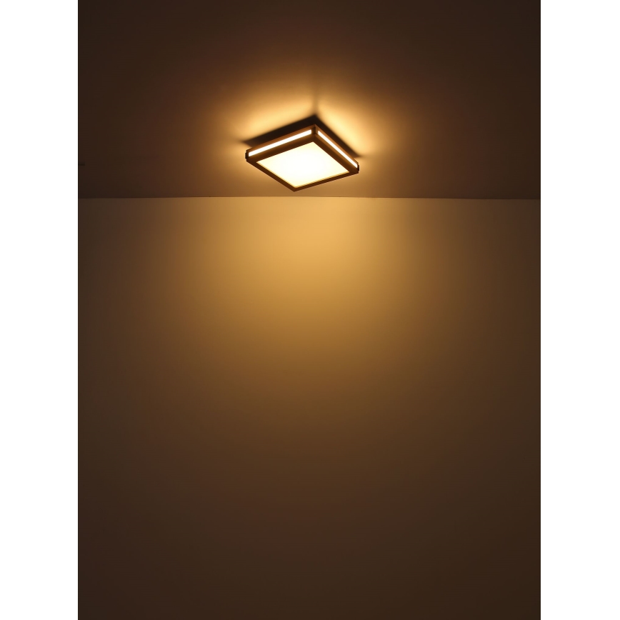 Globo - LED-kattovalaisin LED/24W/230V 45x45 cm