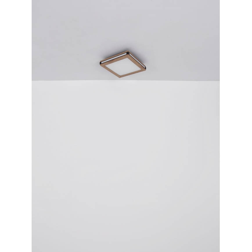 Globo - LED-kattovalaisin LED/24W/230V 45x45 cm